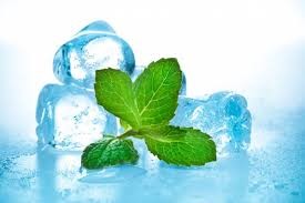e-liquide menthe fraîche