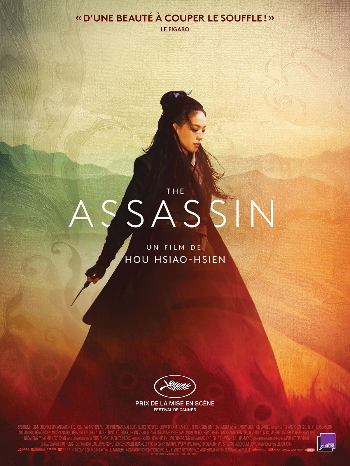 dvd the assassin