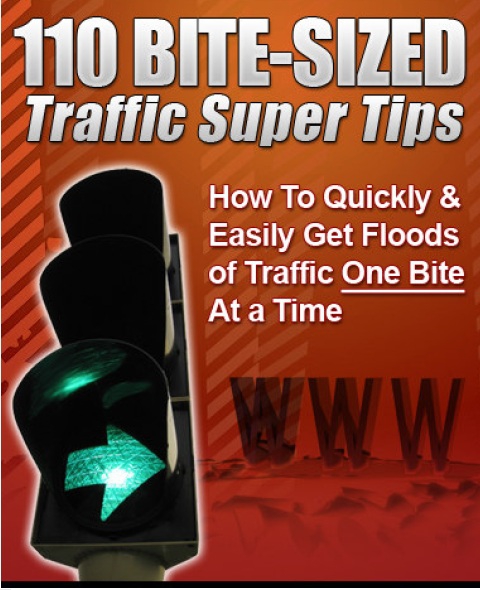 ebook 110 conseils seo traffic