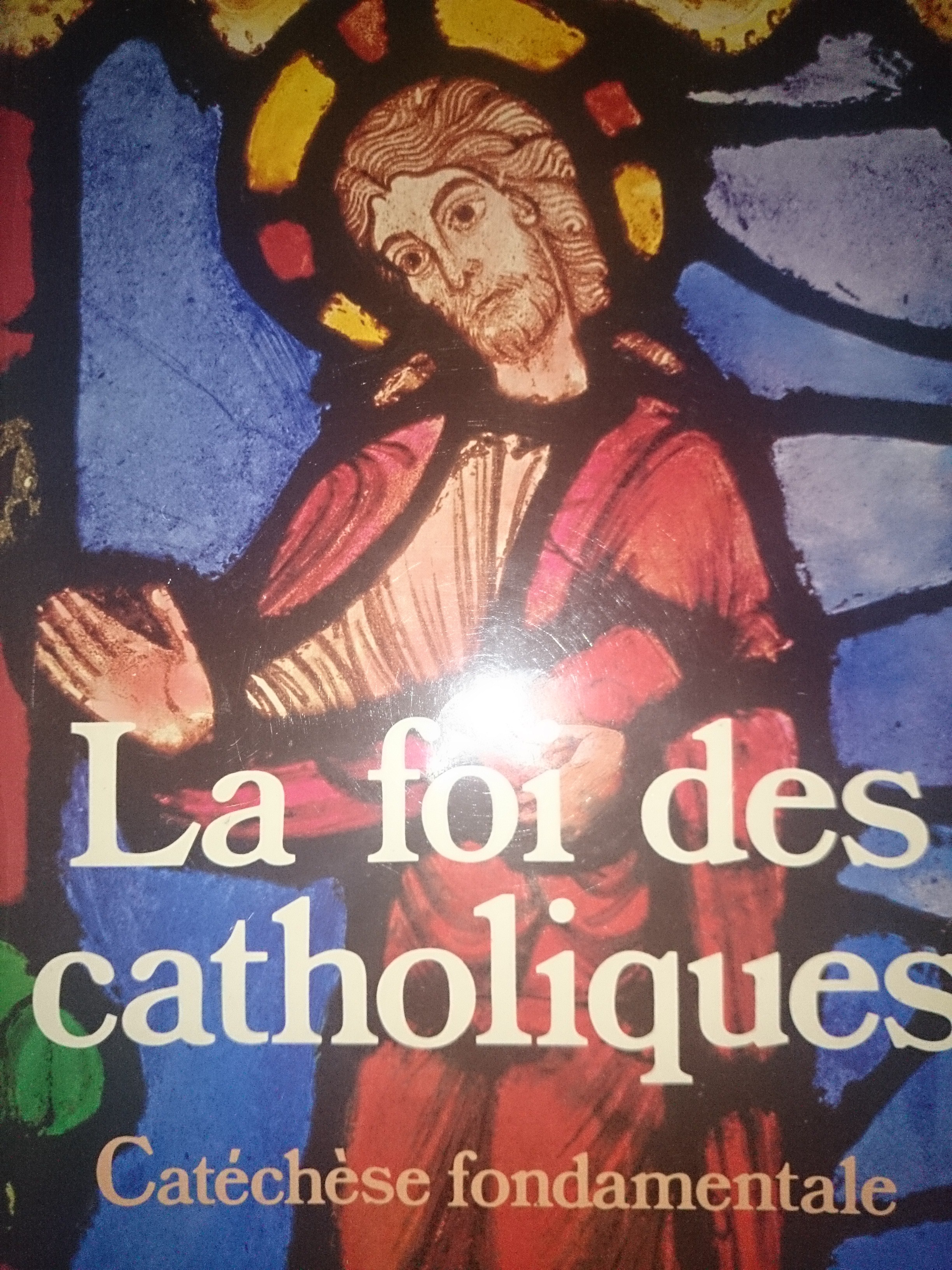 livre la foi des catholiques