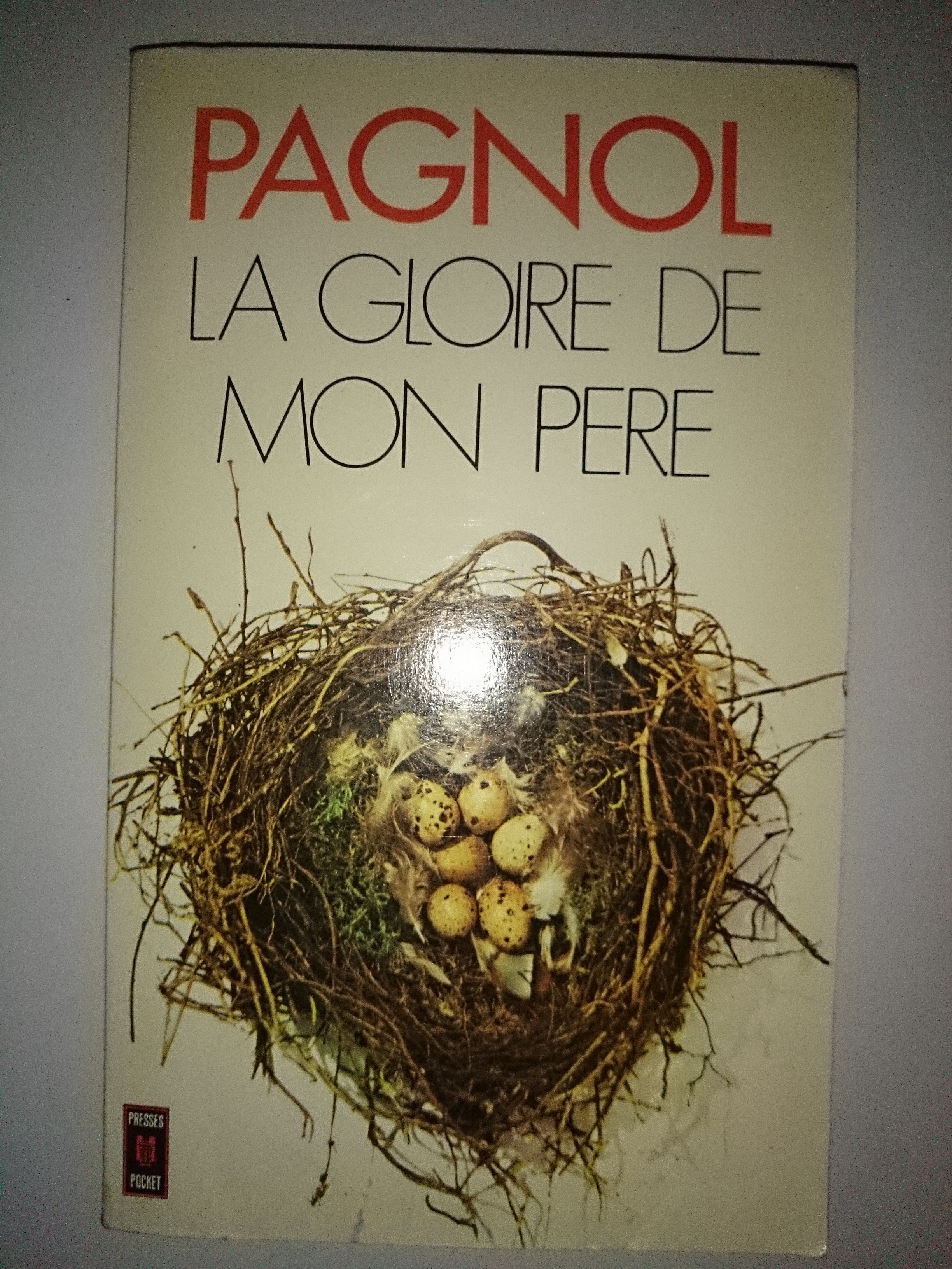 livre la gloire de mon père