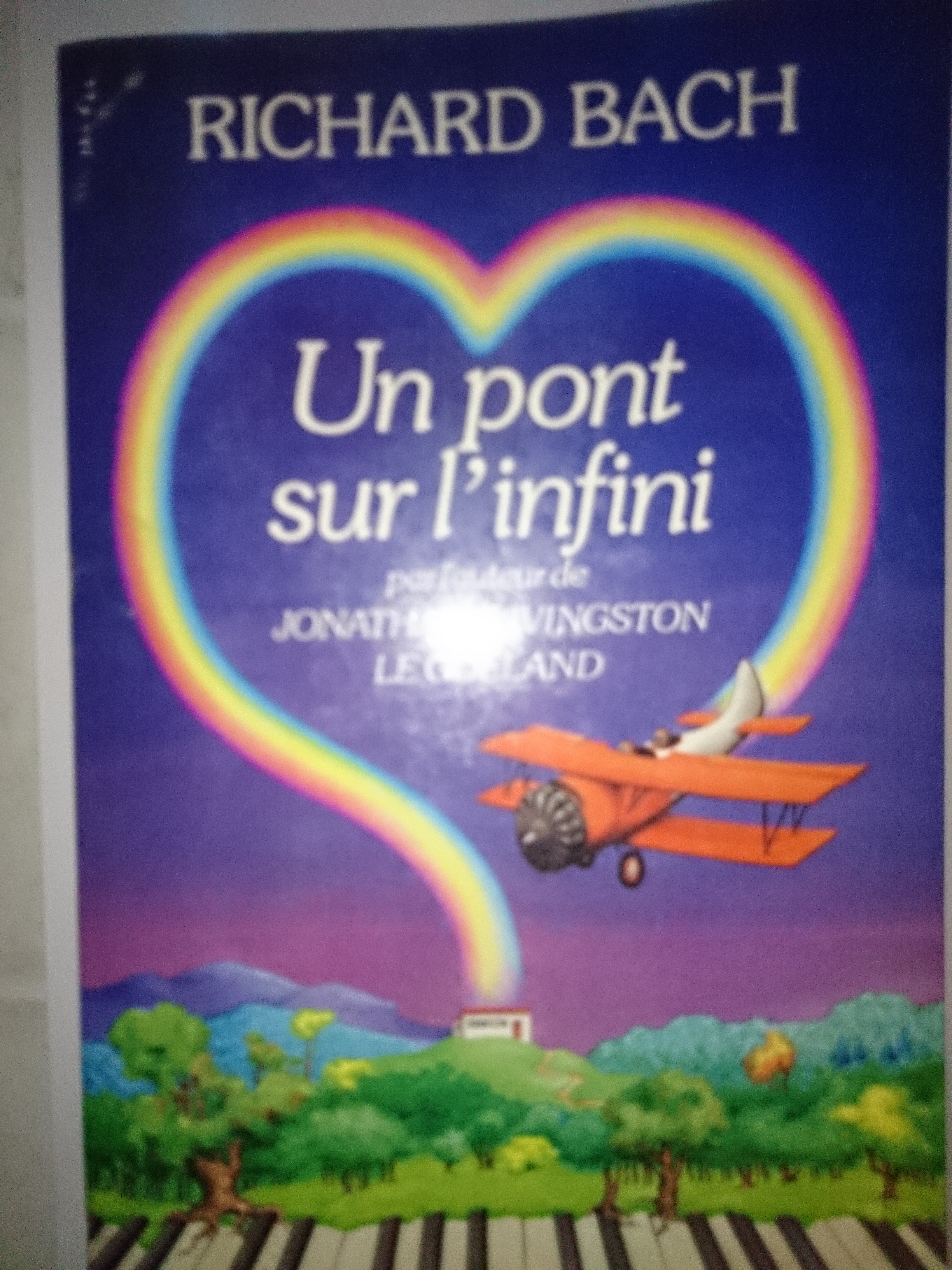 livre un pont sur l'infini