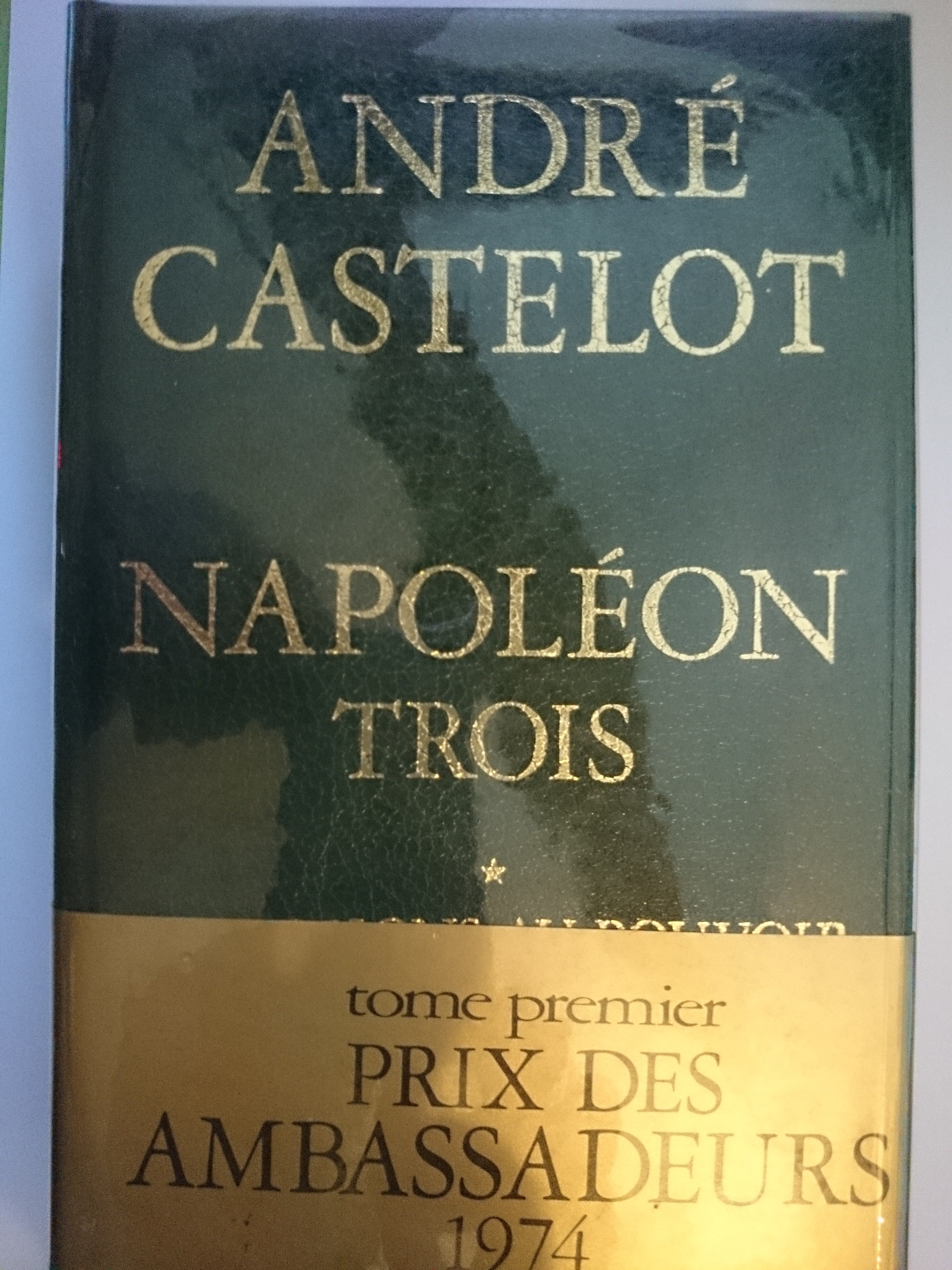 livre napoléon trois